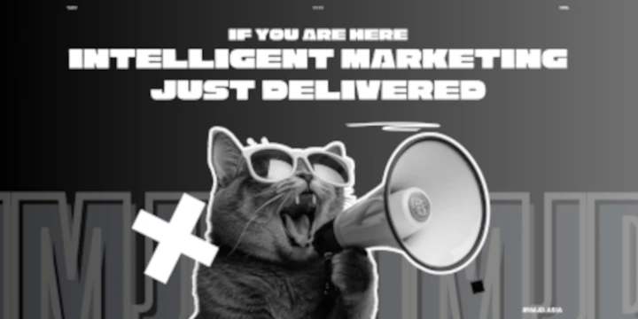 IMJD - Digital Marketing Agency in Pakistan | Web Development, AI Solutions & Sustainable Marketing