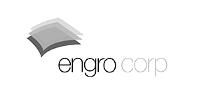 Home 17 engro